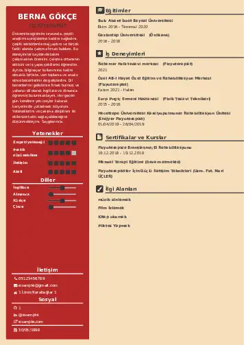 Fizyoterapist Cv Örnekleri cv indir